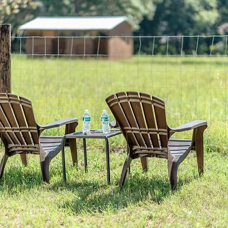 Lemonade Acres, Where Horses Stay For Free!